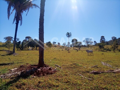 Fazenda-Sítio-Chácara - Foto 3
