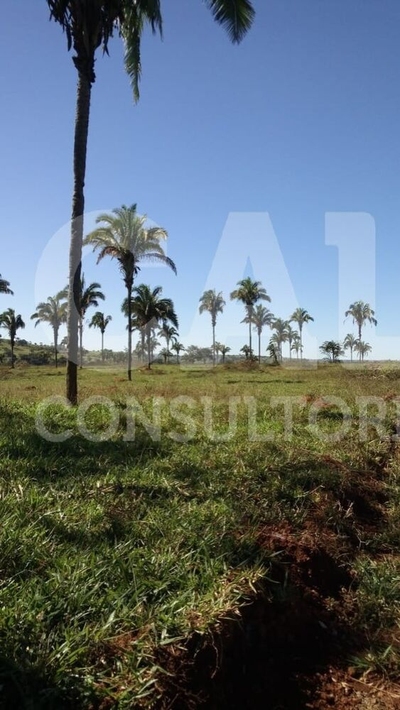 Fazenda-Sítio-Chácara - Foto 4