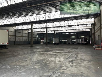 Depósito-Galpão, 4034 m² - Foto 3