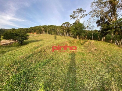 Terreno, 4 hectares - Foto 2