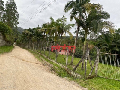 Terreno, 3 hectares - Foto 4