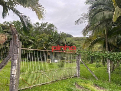 Terreno, 3 hectares - Foto 5