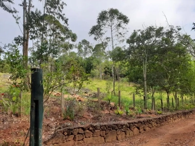 Terreno, 1 hectares - Foto 4