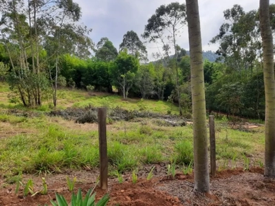 Terreno, 1 hectares - Foto 3