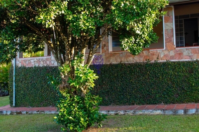 Chácara, 3 quartos, 1000 m² - Foto 4