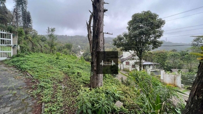 Terreno, 5 hectares - Foto 5