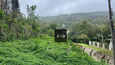 Terreno, 5 hectares - Foto 2