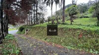 Terreno, 5 hectares - Foto 3