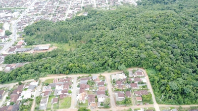 Terreno, 2 hectares - Foto 3