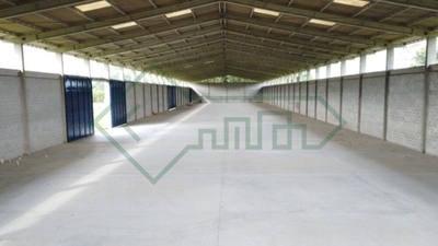 Depósito-Galpão - Foto 3