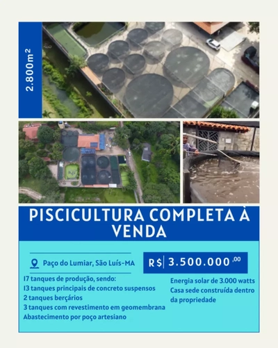 Prédio Inteiro, 2800 m² - Foto 4