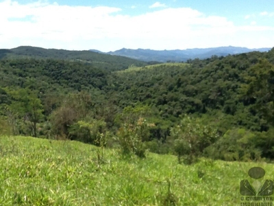 Sítio, 2 hectares - Foto 2