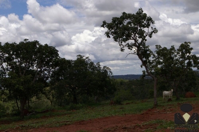Fazenda-Sítio-Chácara, 2 hectares - Foto 3