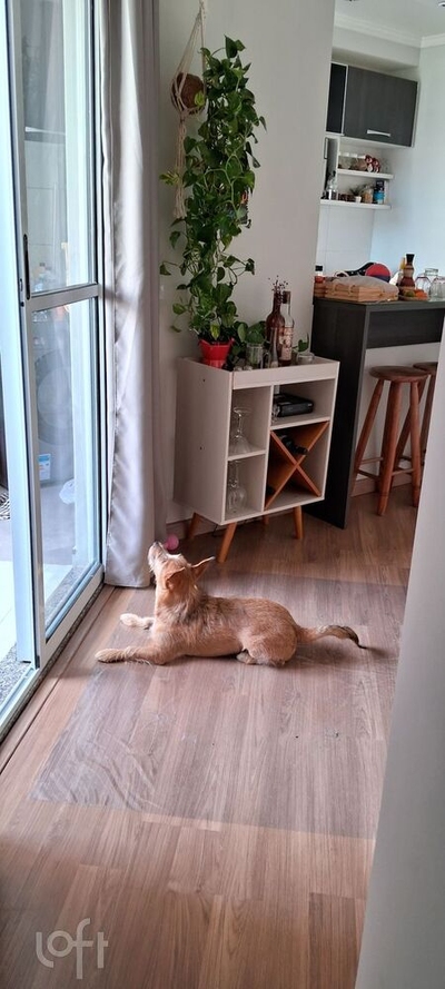 Apartamento, 2 quartos, 48 m² - Foto 3