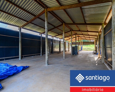 Terreno, 3 hectares - Foto 4