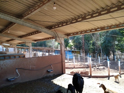 Chácara, 3 quartos, 2 hectares - Foto 1