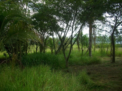 Chácara, 1 quarto, 1000 m² - Foto 2