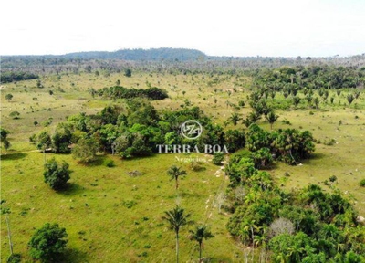 Sítio, 102 hectares - Foto 3