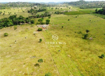 Sítio, 102 hectares - Foto 4