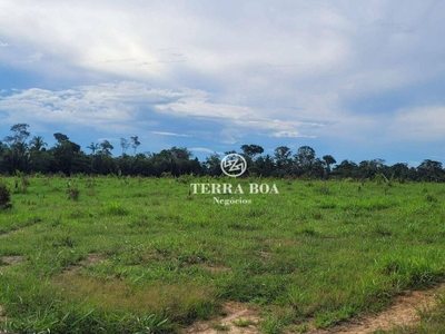 Sítio, 80 hectares - Foto 2