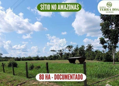 Sítio, 80 hectares - Foto 1