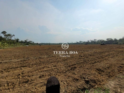 Sítio, 80 hectares - Foto 5