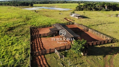 Fazenda-Sítio-Chácara, 1600 hectares - Foto 5