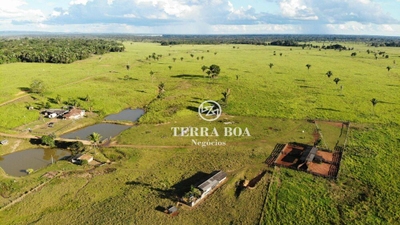 Fazenda-Sítio-Chácara, 1600 hectares - Foto 2