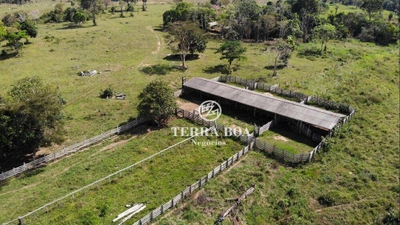 Fazenda-Sítio-Chácara, 203 hectares - Foto 4