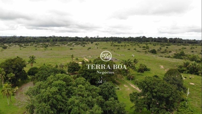 Fazenda-Sítio-Chácara, 253 hectares - Foto 4