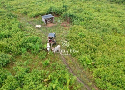 Fazenda-Sítio-Chácara, 957 hectares - Foto 3