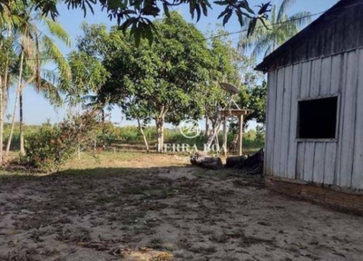 Sítio, 44 hectares - Foto 4