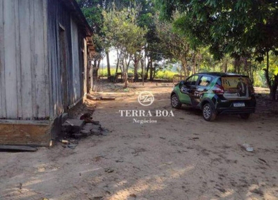 Sítio, 44 hectares - Foto 5