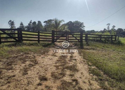 Sítio, 44 hectares - Foto 2