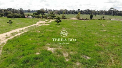 Fazenda-Sítio-Chácara, 284 hectares - Foto 1