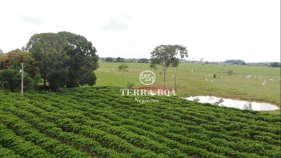 Sítio, 48 hectares - Foto 2