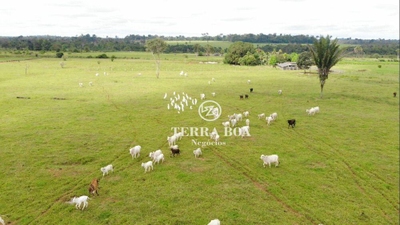 Sítio, 48 hectares - Foto 4