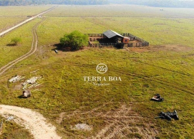 Fazenda-Sítio-Chácara, 400 hectares - Foto 3