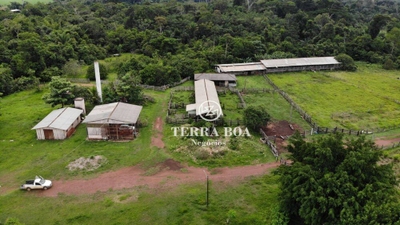 Fazenda-Sítio-Chácara, 300 hectares - Foto 4