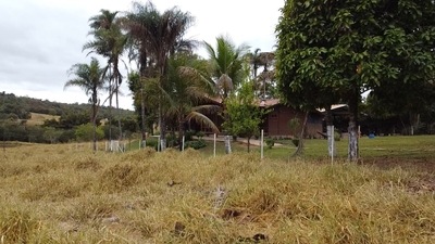 Chácara, 3 quartos, 85 hectares - Foto 2