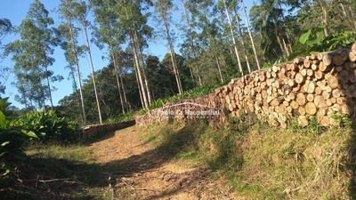 Sítio, 1 quarto, 9 hectares - Foto 2