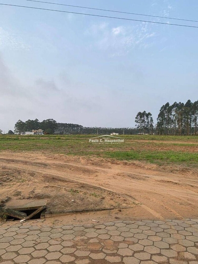 Terreno, 360 m² - Foto 4