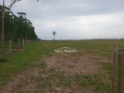 Terreno, 10000 m² - Foto 2