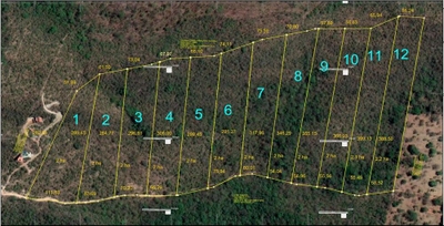 Chácara, 2 hectares - Foto 1