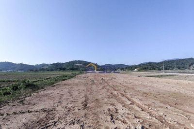 Terreno, 2 hectares - Foto 1