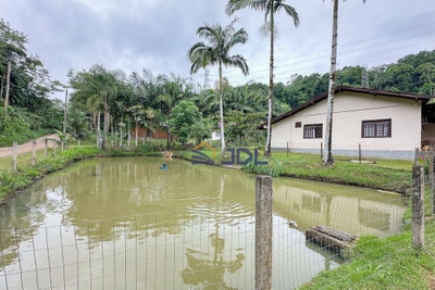 Sítio, 3 quartos, 5174 m² - Foto 3