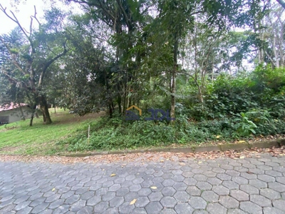 Terreno, 2494 m² - Foto 5