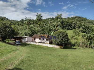 Sítio, 5 hectares - Foto 1