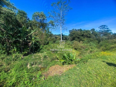 Sítio, 4 quartos, 2 hectares - Foto 4