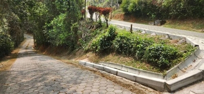 Terreno, 2080 m² - Foto 3